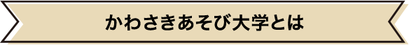 かわさきあそび大学とは