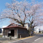 桜地蔵